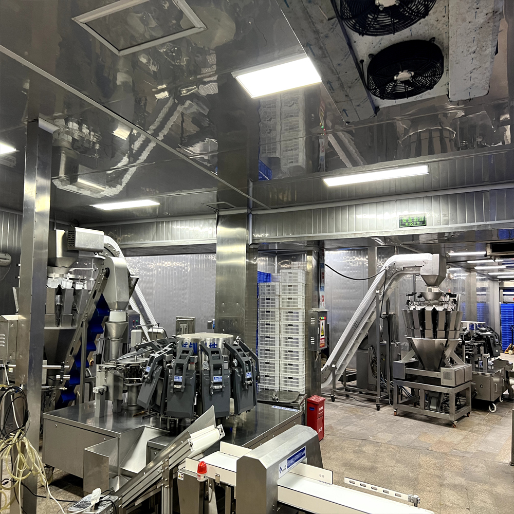 Chinese Beef Ball Export Manufacturer - Industrial Production Line Equipment